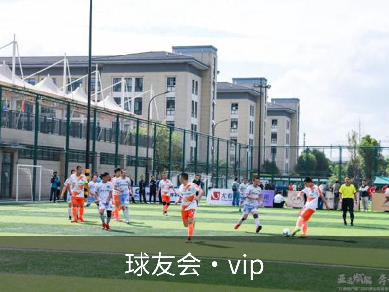 走进球友会·vip